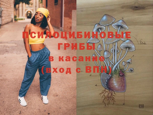 Альфа ПВП Корсаков